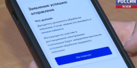 38 тысяч псковичей уже выбрали ДЭГ. Избирком рассказал, как проголосовать онлайн - ГТРК Псков