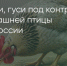 Поделитья во ВКонтакте - Братская Студия Телевидения