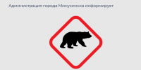 Вблизи Малой Минусы поломаны улья: это может быть медведь!. - Администрация