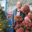 Двор в цветах - Yalutorovsk.Online