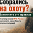 Сезон охоты стартовал: что важно помнить - Венгеровский район