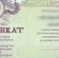 Фото: УМВД России по Тверской области - ТИА