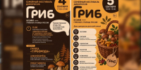 Семейный фестиваль дикоросов "Гриб": что будет в Сыктывкаре 4 и 5 сентября - ИА Комиинформ