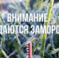 Предупреждение об угрозе чрезвычайной ситуации. - Шипуновский район
