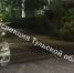 В Туле столкнулись электровелосипед и автомобиль - ИА Тульская пресса.Ru