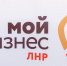 Центр «Мой бизнес» создает «коробочные решения» для инвесторов в ЛНР - Луганский Информационный Центр