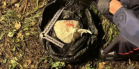 В Самарской области задержан преступник из федерального розыска со странным паспортом - КТВ-ЛУЧ
