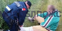 Змея укусила пенсионерку за ногу во время сбора грибов под Сергиевым Посадом - Вечерняя Москва