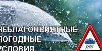 Дожди и сильный ветер ожидаются в Нижнем Новгороде 5 сентября - Администрация г. Нижний Новгород
