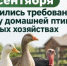 С 1 сентября изменились требования к учету домашней птицы в личных хозяйствах - Министерство сельского хозяйства