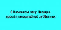 В Липецке в Каменном логу провели большой субботник - Народное слово