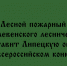 Сотрудник Хлевенского лесничества — лесной пожарный — будет защищать честь Липецкой области на всероссийском конкурсе - Народное слово