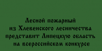 Сотрудник Хлевенского лесничества — лесной пожарный — будет защищать честь Липецкой области на всероссийском конкурсе - Народное слово