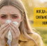 Юг атакует поллиноз: амброзия и кондиционеры объявили войну аллергикам в 2026 году - Юг России