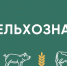 Россельхознадзор разъясняет! - Мантуровский муниципальный округ