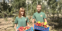 Нажмите, чтобы увеличить изображение 0.jpeg - Администрация Буденновского МО