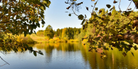 осень - Новый Компаньон