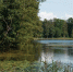 park-with-forest-lake-northern-summer-view-lake-with-reeds-water-lilies-landscape-photography-sunny-day - ТРК Щелково