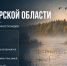 Птицы Владимирской области: среда обитания и особенности видов - Progorod33.Ru
