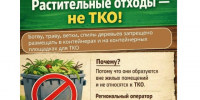 Памятка для граждан: растительные отходы - не в контейнеры!. - Клинцовский район