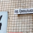В Ростове на месте снесенного дома в переулке Кривошлыковском хотят построить спортивную площадку - Панорама