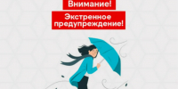 РСЧС грозы, порывы ветра 15-20 м/с ожидаются местами на территории Брянской области 05 сентября 2026 года (данные Брянского ЦГМС).. - Администрация г. Клинцы