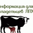 Учёт и маркирование сельскохозяйственных животных в личных подсобных хозяйствах: порядок действий граждан. - Ветеринарное управление