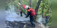Пожар на площади 4,5 гектара ликвидировали в Бахчисарайском районе - КрымИнформ