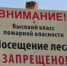 Жителям Волгодонска до 24 сентября продлили запрет на пребывание в лесах - DonDay-Volgodonsk.Ru