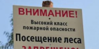 Жителям Волгодонска до 24 сентября продлили запрет на пребывание в лесах - DonDay-Volgodonsk.Ru