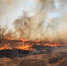 i3uriodabi3kc26352vnxpa4rcpciai6 - Novosti-Saratova.Ru