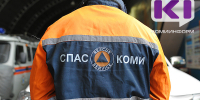 В Коми в полночь в лесу нашли двух 70-летних бабушек - ИА Комиинформ