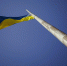 Украина выходит из ряда соглашений в рамках СНГ - Комсомольская Правда
