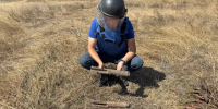 В Крыму уничтожили 11 боеприпасов времен Великой Отечественной войны - Комсомольская правда