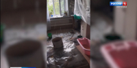 Дом без крыши.mp4_snapshot_00.12.900.jpg - ГТРК Кострома