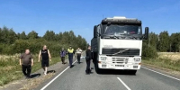 В Половинском округе нетрезвый пешеход погиб под колёсами фуры - Shadr.Info