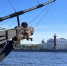 В Петербурге готовят выставку к юбилею ВМФ | ФОТО Полины АКИМОВОЙ - С.-Петербургские ведомости