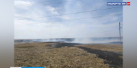 В Башкирии за сутки зафиксирован один лесной пожар и пять возгораний сухой травы | ГТРК «Башкортостан» - ГТРК Башкортостан