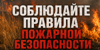 Соблюдайте правила пожарной безопасности: не жгите сухую траву и мусор - ГУ МЧС Ульяновской области