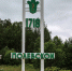На Полевском тракте погиб лось - Polevskoy24.Ru