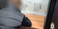 Нижегородские полицейские поймали водителя, сбившего школьника после линейки - Нижегородская правда