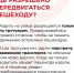 Самостоятельная дорога в школу – большая ответственность - Armizon72.Ru