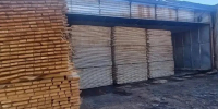 Из Кировской области в другие регионы вывезли 309,5 тысячи кубометров древесины - Комсомольская Правда