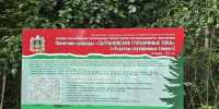 В Навлинском районе установили аншлаги на глухариных токах - БрянскToday.Ru