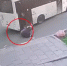 Пассажиры выпали на асфальт из автобуса под управлением опытного водителя - видео 18+ - КТВ-ЛУЧ