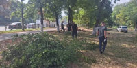 Жители Краснодара вышли на субботники во всех округах города - Газета Краснодарские известия