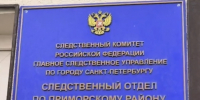 В Санкт-Петербурге задержана женщина по уголовному делу о публичном оправдании терроризма - Следственный комитет