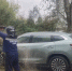 В Калуге дерево упало на припаркованную машину - Калужский перекрёсток