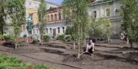 Около 15 тысяч растений высадят в горпарке Саратова - Провинциальный телеграфъ