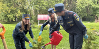 Представители Молодёжного совета Главного управления МЧС России по Тверской области приняли участие в акции «Зелёная Россия» - МЧС России